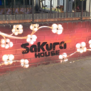 Sakura House Wall Mural